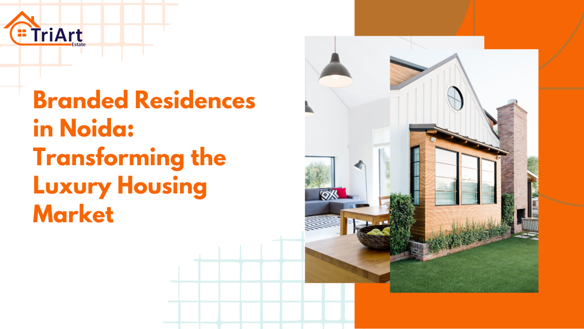 Branded Residences in Noida Transforming the Luxury Housing Market