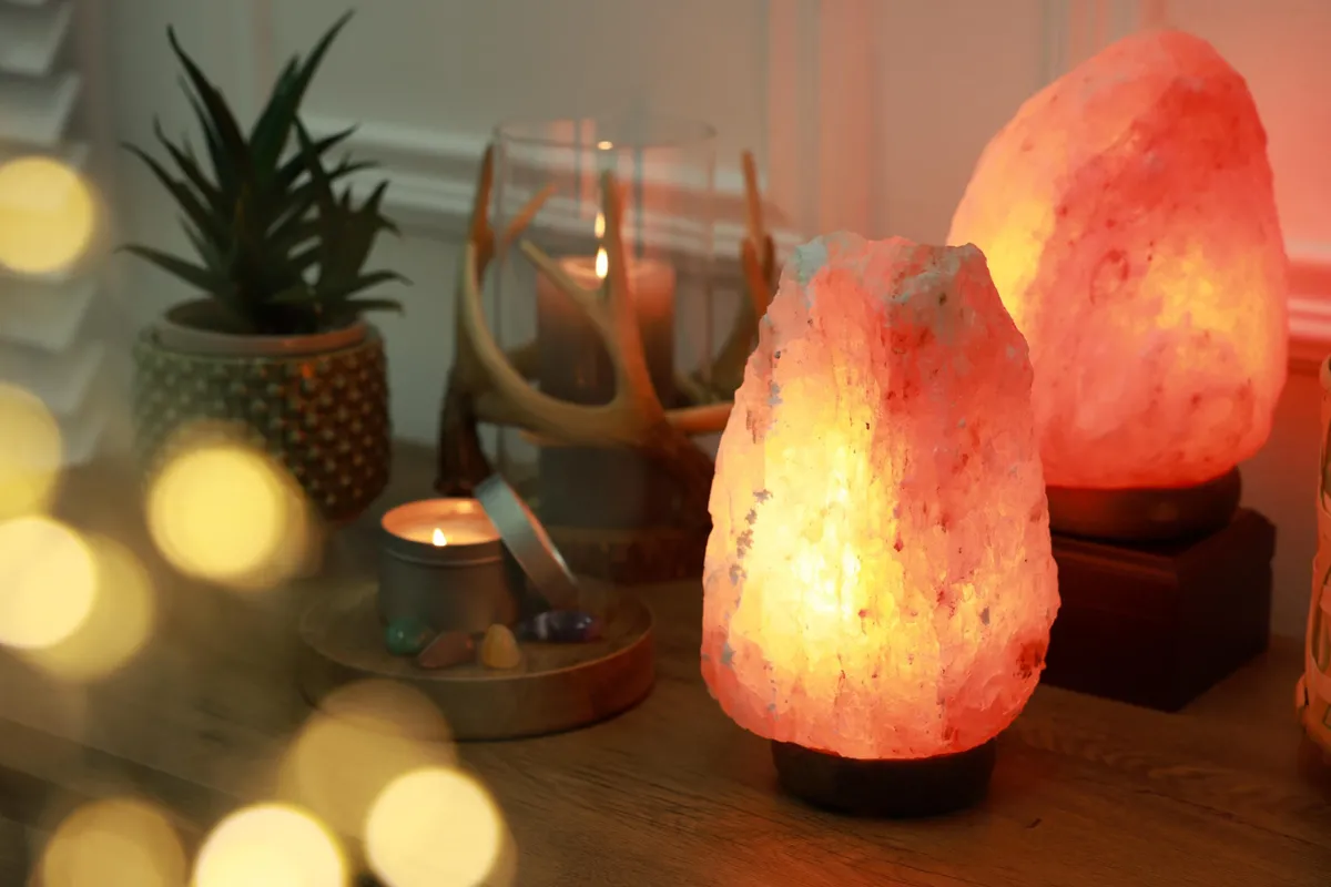 9 Essential Vastu Items for Home to Boost Wealth, Positivity and Peace 5 9 Essential Vastu Items for Home to Boost Wealth, Positivity and Peace 4